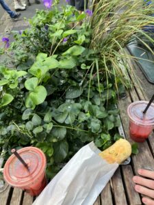 Borough Market, London (c) Sian Francis-Cox 2025