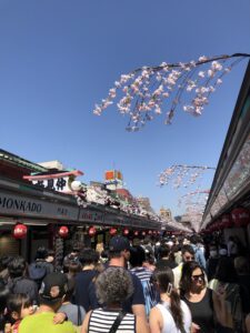 Asakusa, Tokyo (c) Sian Francis-Cox 2024
