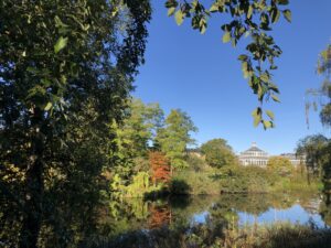 Botanic Garden, Copenhagen (c) Sian Francis-Cox 2024
