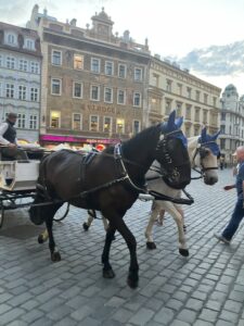 Horse and cart, Prague (c) Sian Francis-Cox 2025