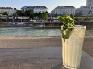 River in Vienna (c) Sian Francis-Cox 2025