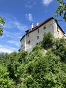 Bled Castle, Slovenia (c) Sian Francis-Cox 2025
