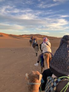 Camel ride in Skoura, Morocco (c) Sian Francis-Cox 2026