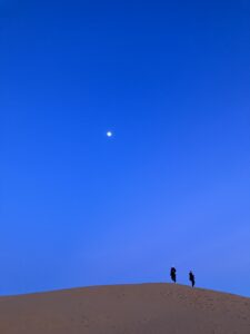 Night desert dune, Merzourga (c) Sian Francis-Cox 2026