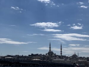 View of Istanbul from the Bosphorus Cruise (c) Sian Francis-Cox 2026