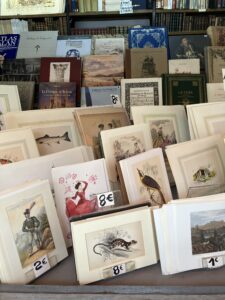Madrid book stalls