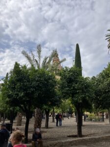 Courtyard of the Mezquita-Catedral, Córdoba