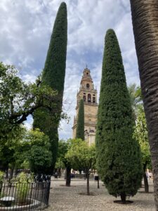 Courtyard of the Mezquita-Catedral, Córdoba
