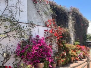 Museo Larco (c) Sian Francis-Cox 2026