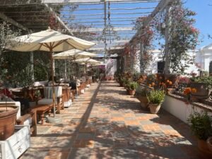 Museo Larco (c) Sian Francis-Cox 2026