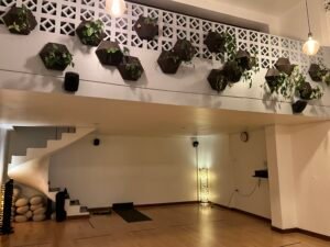 Lima yoga